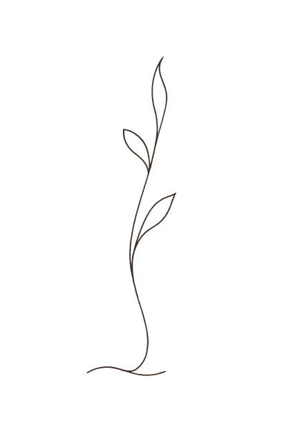 Plant stem decoration